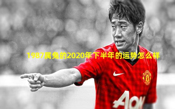 1987属兔的2020年下半年的运势怎么样
