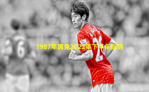 1987年属兔2022年下半年运势