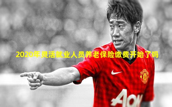 2020年灵活就业人员养老保险缴费开始了吗
