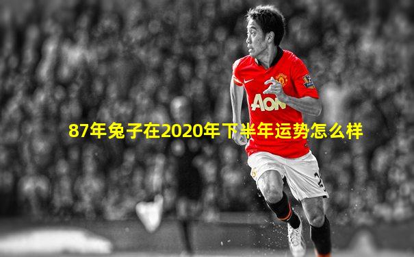 87年兔子在2020年下半年运势怎么样