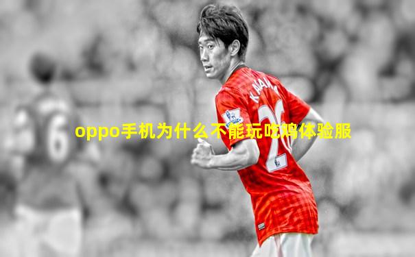 oppo手机为什么不能玩吃鸡体验服