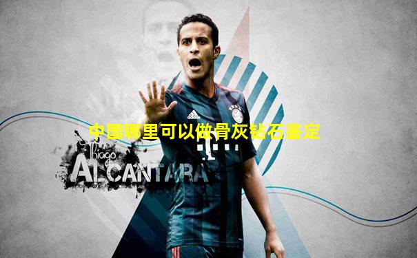 中国哪里可以做骨灰钻石鉴定