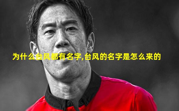 为什么台风都有名字,台风的名字是怎么来的
