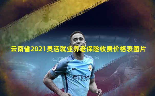云南省2021灵活就业养老保险收费价格表图片