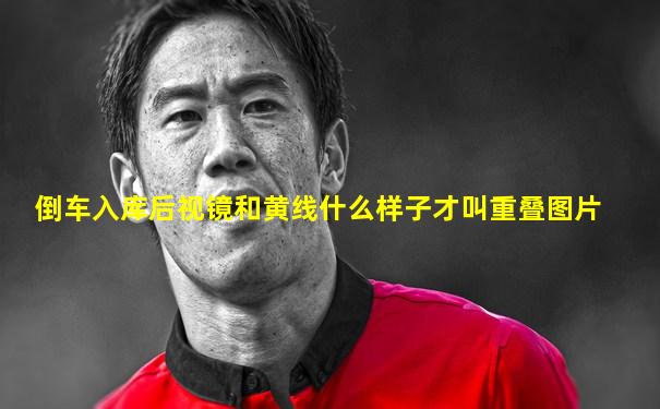 倒车入库后视镜和黄线什么样子才叫重叠图片