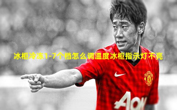 冰柜冷冻1-7个档怎么调温度冰柜指示灯不亮