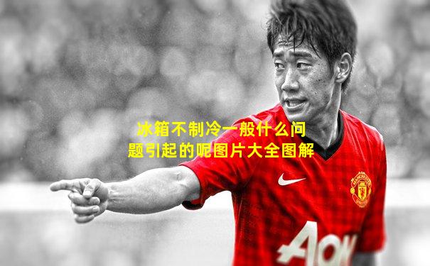 冰箱不制冷一般什么问题引起的呢图片大全图解