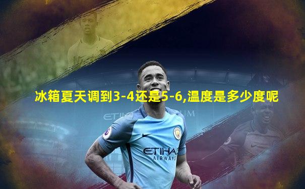 冰箱夏天调到3-4还是5-6,温度是多少度呢