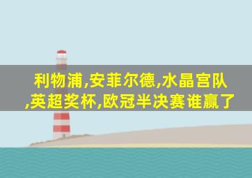 利物浦,安菲尔德,水晶宫队,英超奖杯,欧冠半决赛谁赢了
