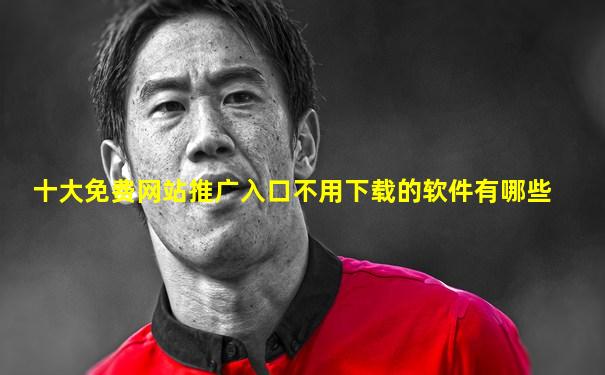 十大免费网站推广入口不用下载的软件有哪些