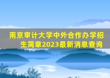 南京审计大学中外合作办学招生简章2023最新消息查询