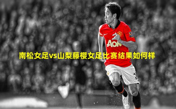 南松女足vs山梨藤樱女足比赛结果如何样