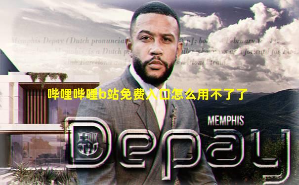 哔哩哔哩b站免费入口怎么用不了了