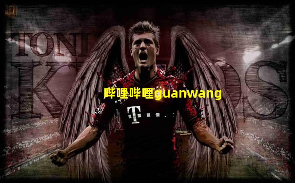 哔哩哔哩guanwang