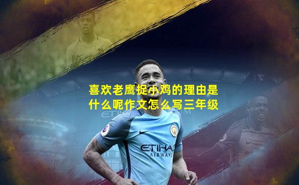 喜欢老鹰捉小鸡的理由是什么呢作文怎么写三年级