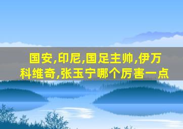 国安,印尼,国足主帅,伊万科维奇,张玉宁哪个厉害一点