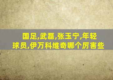 国足,武磊,张玉宁,年轻球员,伊万科维奇哪个厉害些