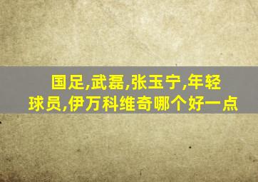 国足,武磊,张玉宁,年轻球员,伊万科维奇哪个好一点