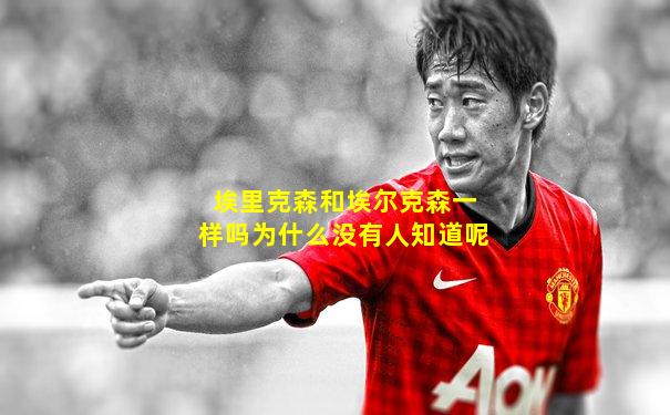 埃里克森和埃尔克森一样吗为什么没有人知道呢