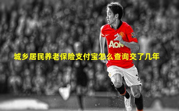 城乡居民养老保险支付宝怎么查询交了几年
