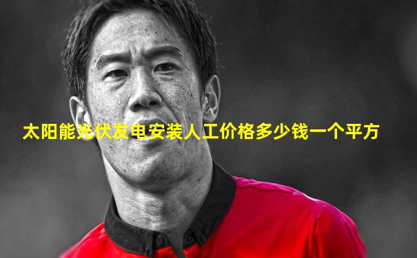 太阳能光伏发电安装人工价格多少钱一个平方