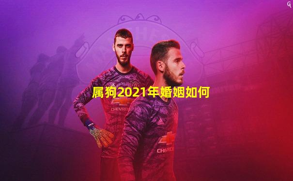 属狗2021年婚姻如何