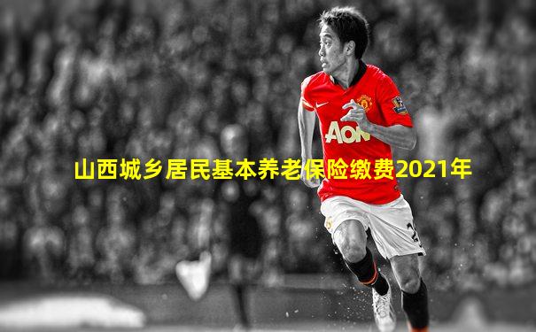 山西城乡居民基本养老保险缴费2021年