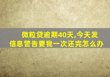 微粒贷逾期40天,今天发信息警告要我一次还完怎么办