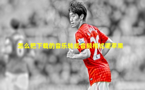 怎么把下载的音乐转成音频格式呢苹果