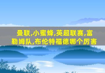 曼联,小蜜蜂,英超联赛,富勒姆队,布伦特福德哪个厉害