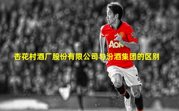 杏花村酒厂股份有限公司与汾酒集团的区别