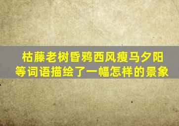 枯藤老树昏鸦西风瘦马夕阳等词语描绘了一幅怎样的景象