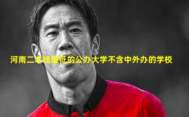 河南二本线最低的公办大学不含中外办的学校