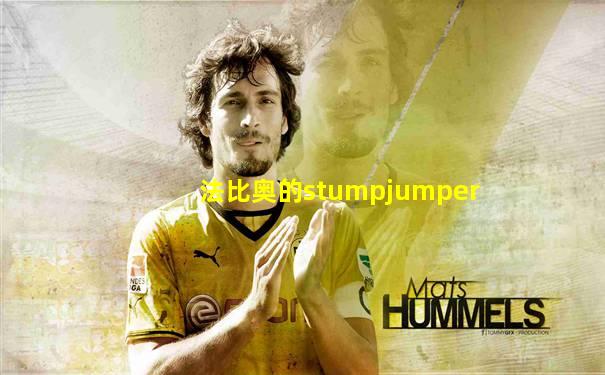 法比奥的stumpjumper