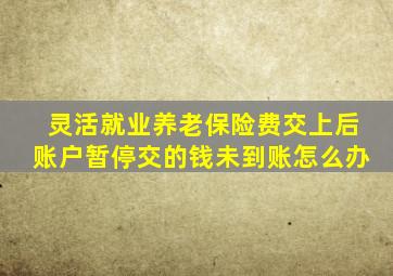 灵活就业养老保险费交上后账户暂停交的钱未到账怎么办
