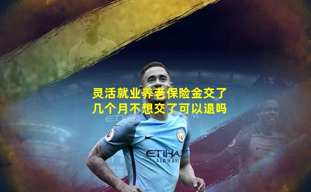灵活就业养老保险金交了几个月不想交了可以退吗