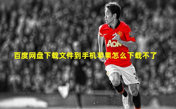 百度网盘下载文件到手机苹果怎么下载不了