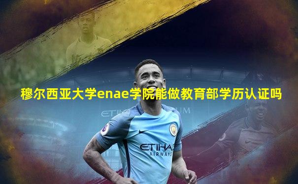 穆尔西亚大学enae学院能做教育部学历认证吗