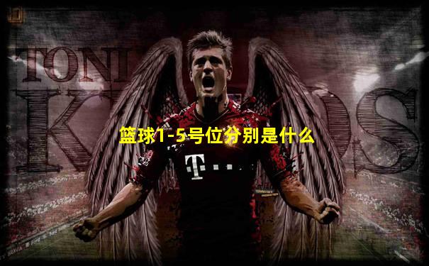 篮球1-5号位分别是什么