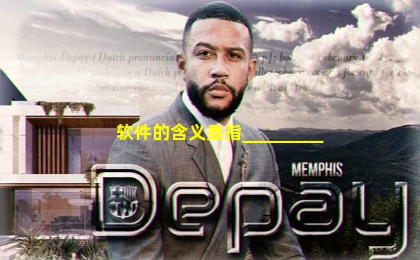 软件的含义是指_________