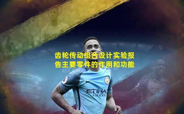 齿轮传动组合设计实验报告主要零件的作用和功能