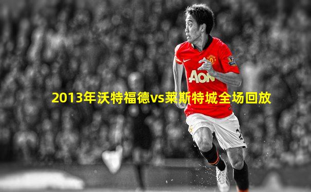 2013年沃特福德vs莱斯特城全场回放