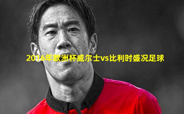2016年欧洲杯威尔士vs比利时盛况足球