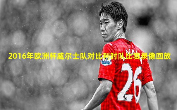 2016年欧洲杯威尔士队对比利时队比赛录像回放