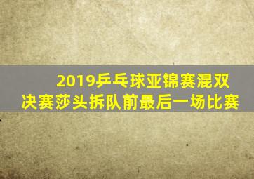 2019乒乓球亚锦赛混双决赛莎头拆队前最后一场比赛