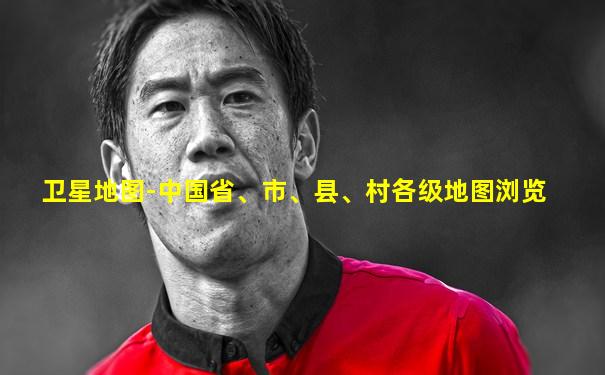 卫星地图-中国省、市、县、村各级地图浏览