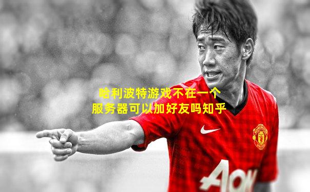 哈利波特游戏不在一个服务器可以加好友吗知乎