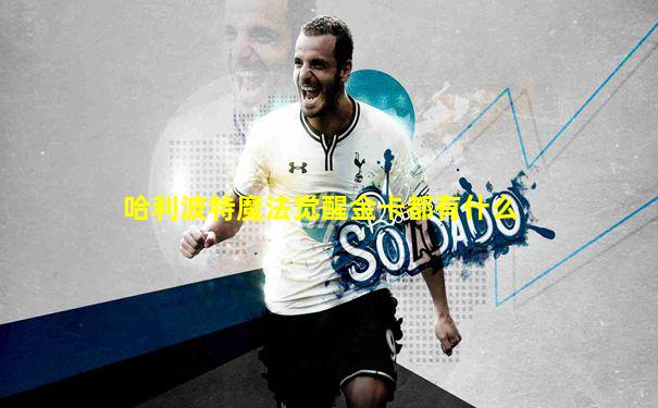 哈利波特魔法觉醒金卡都有什么