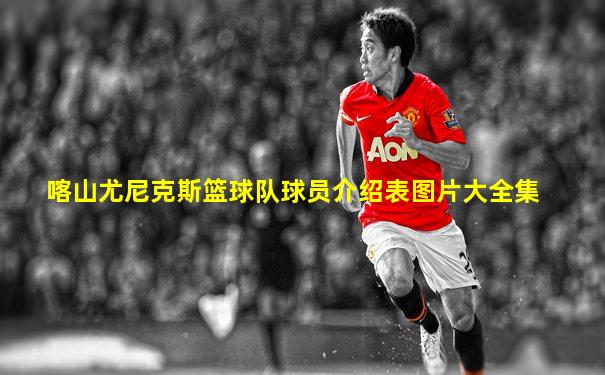 喀山尤尼克斯篮球队球员介绍表图片大全集