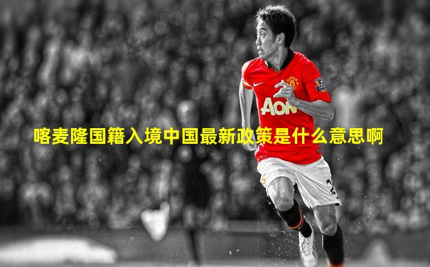 喀麦隆国籍入境中国最新政策是什么意思啊
